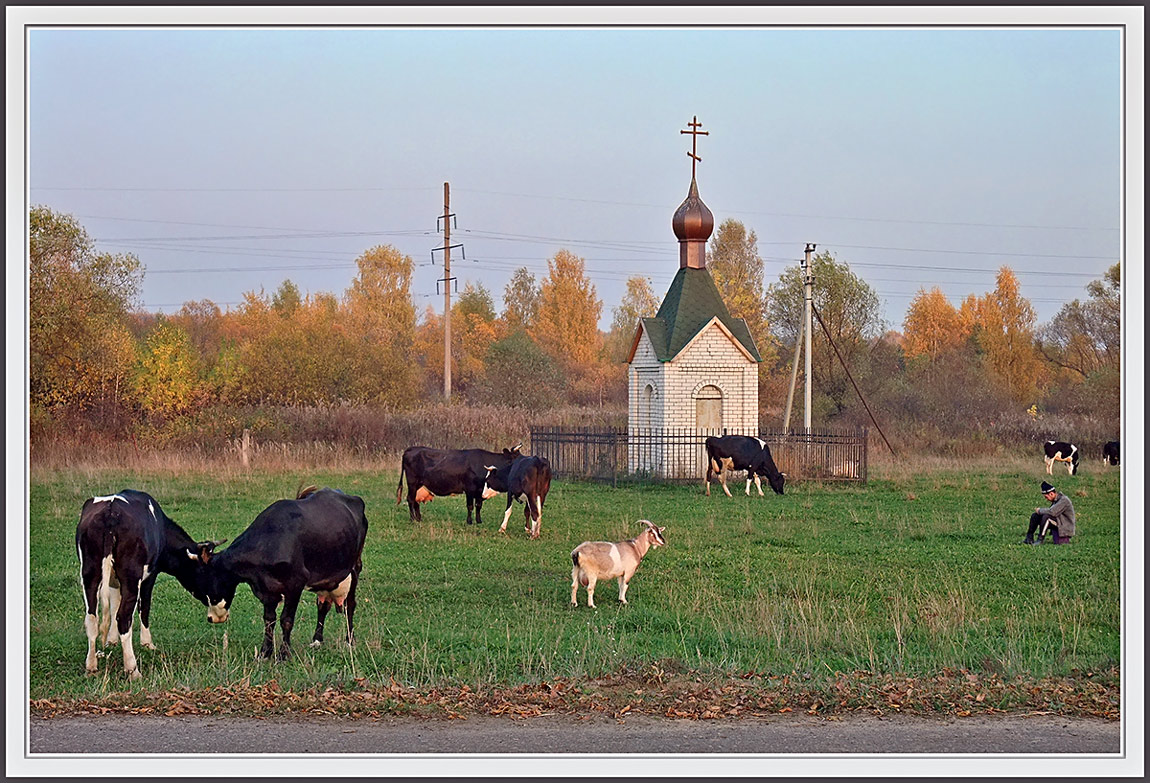 Осенняя пастораль.