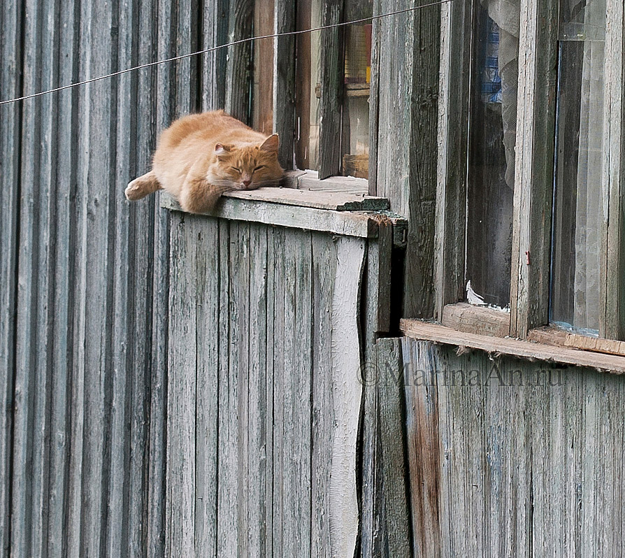 ну и зачем мне ваши таити..