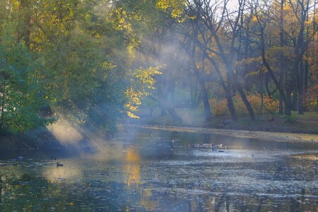 Листья жгут...