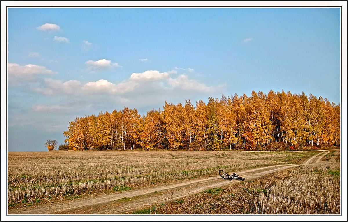 Дороги осени.