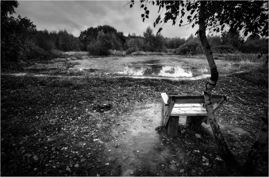 Wooden Chair