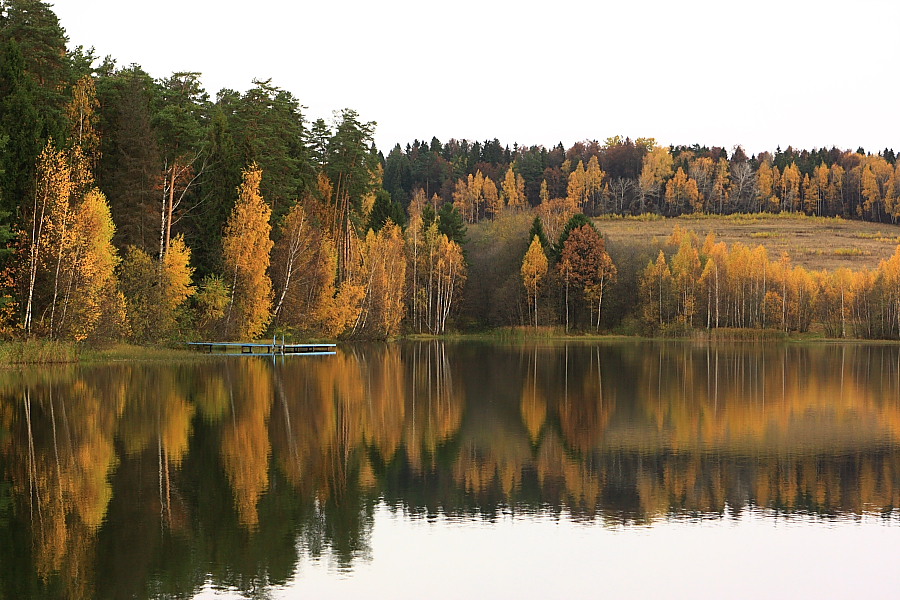 золотая осень