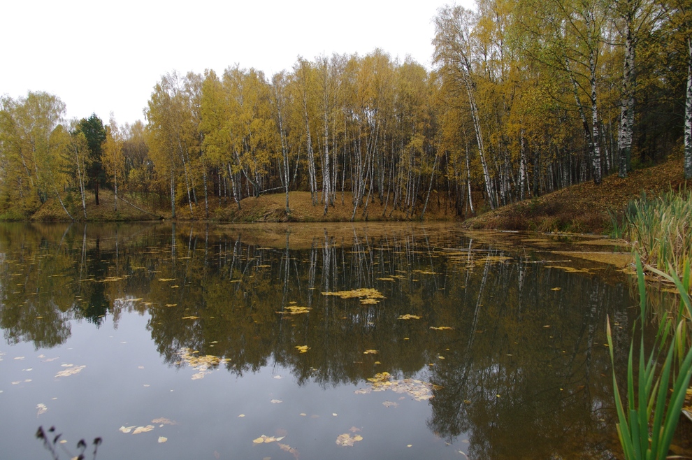 Осенний пруд