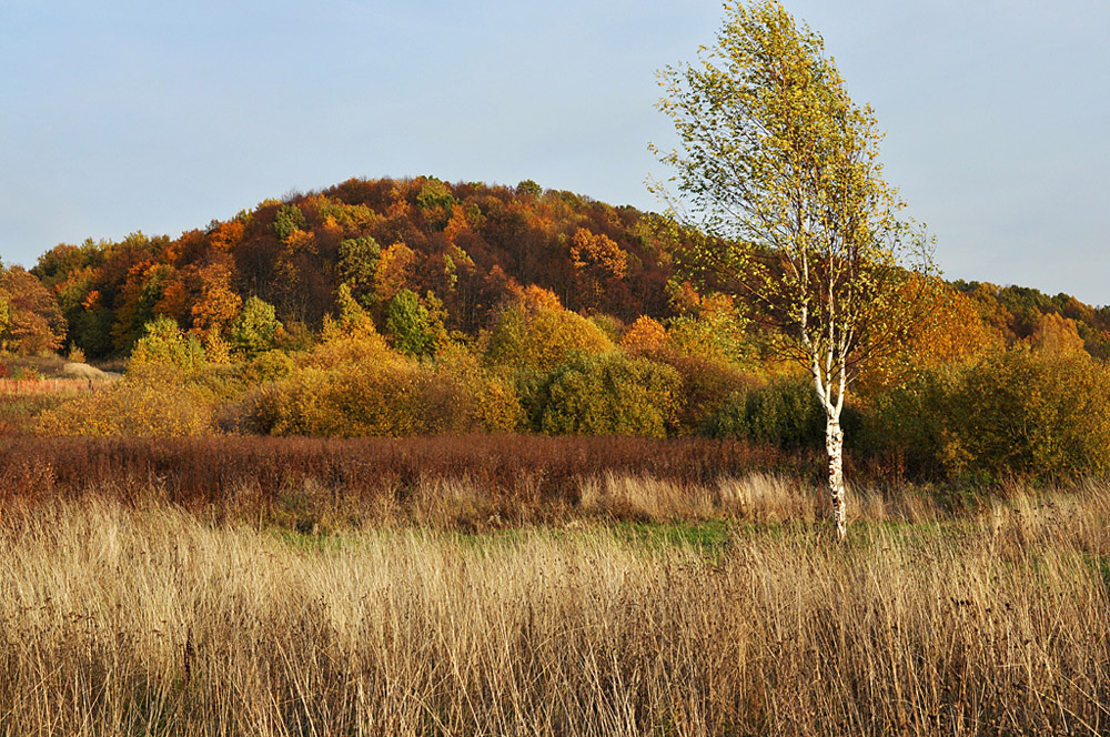 Краски осени