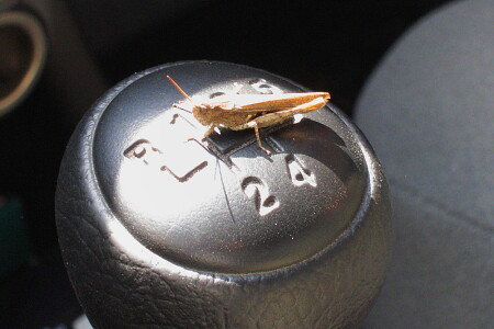 Механика (МКПП)