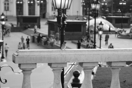 Городской житель.