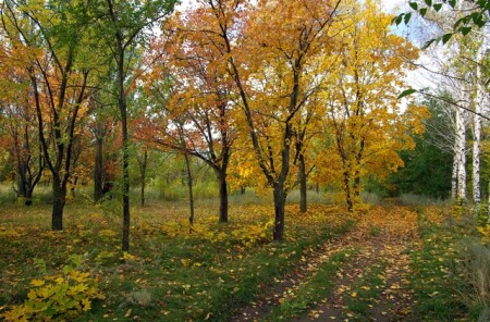 Осенние зарисовки