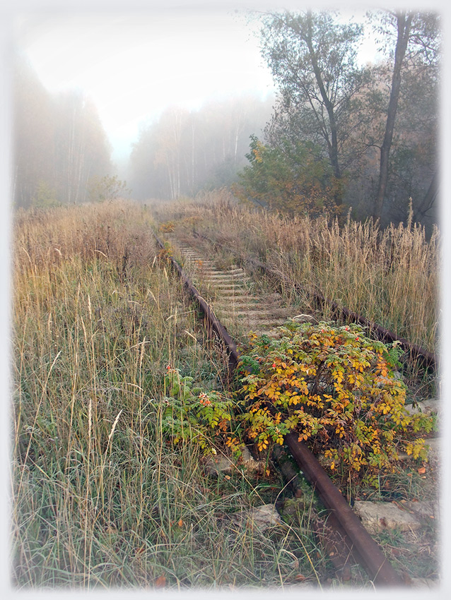 Дорога в осень.