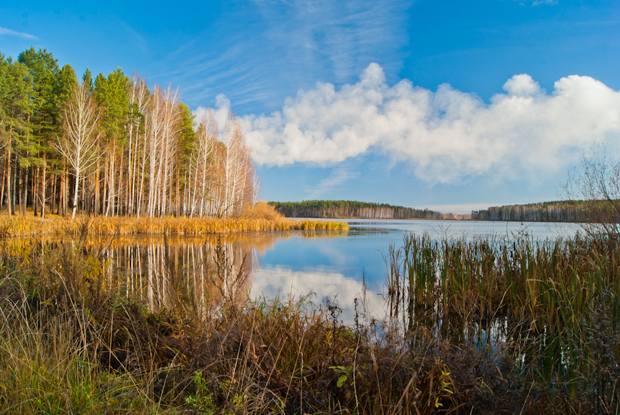 Рефтинский пейзаж