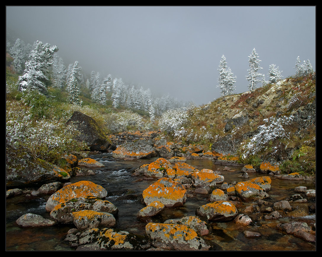 Осень, туман