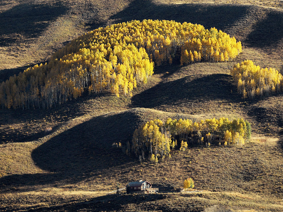 &quot;Плюшевая&quot; осень