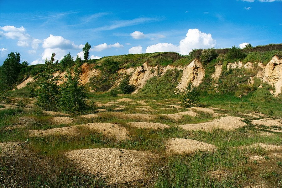 Кривоборье