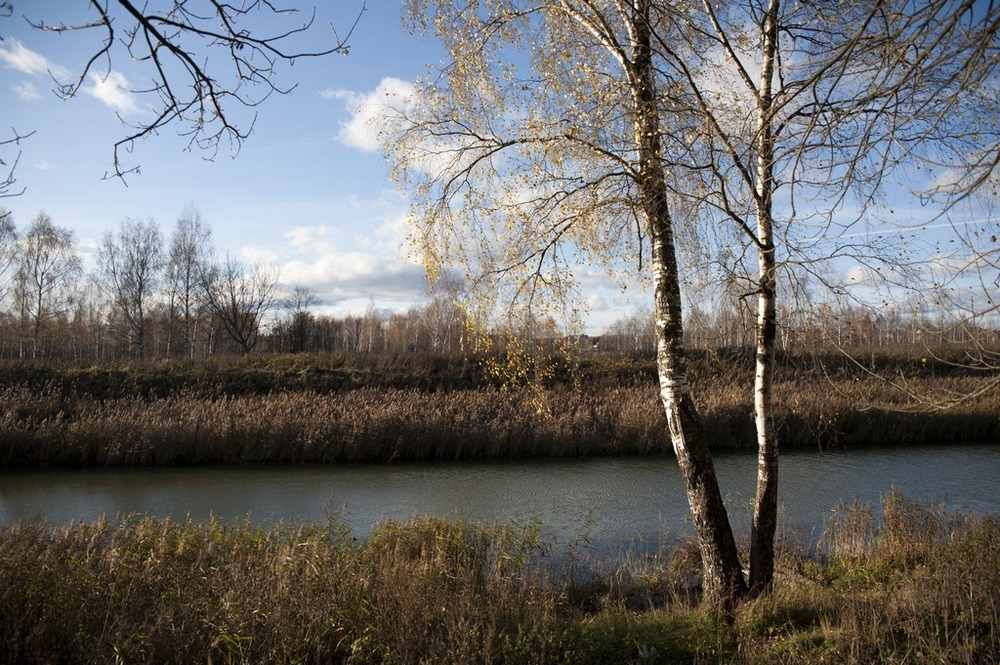 Солнечногорская осень