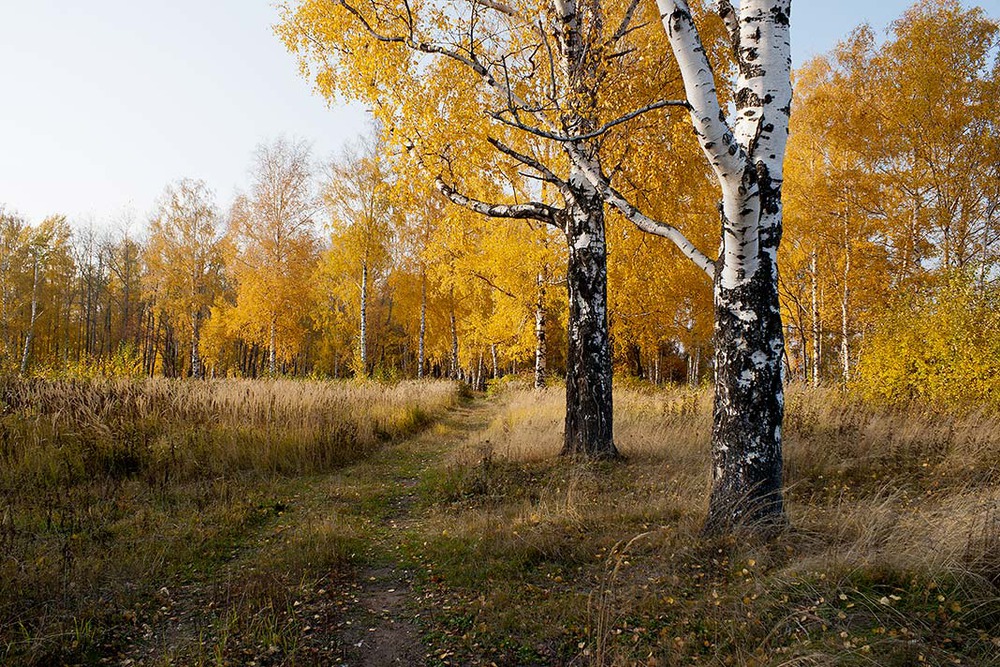 Осень