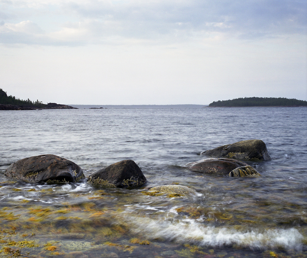 Белое море 2011 _ 5