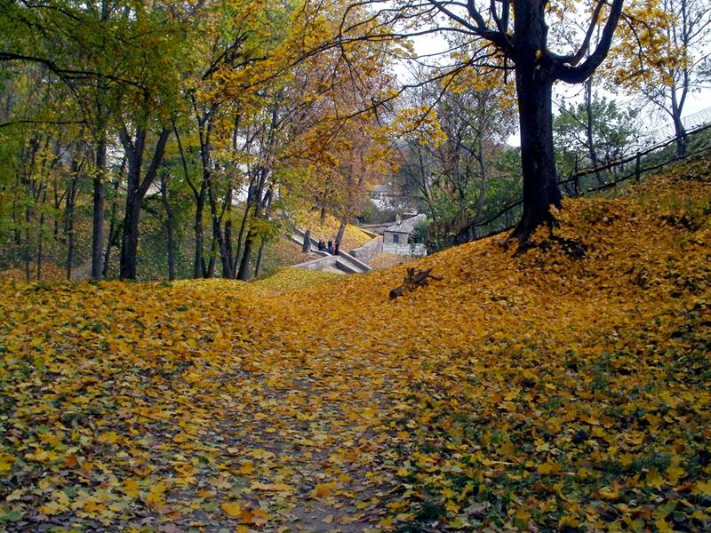 В осеннем убранстве