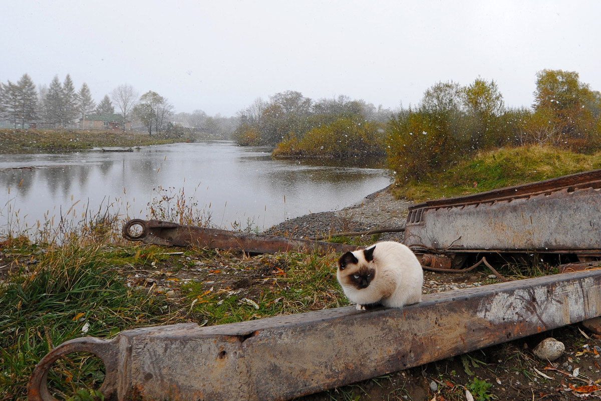 осень