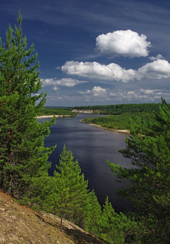 Краски лета