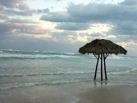 Три ''товарища''