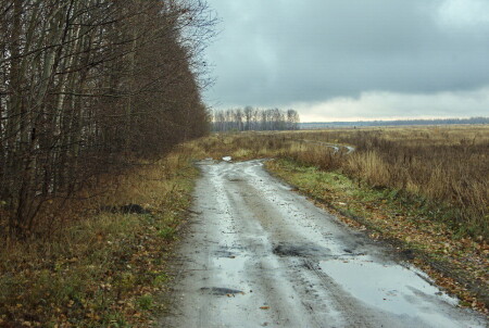 Осенние дороги
