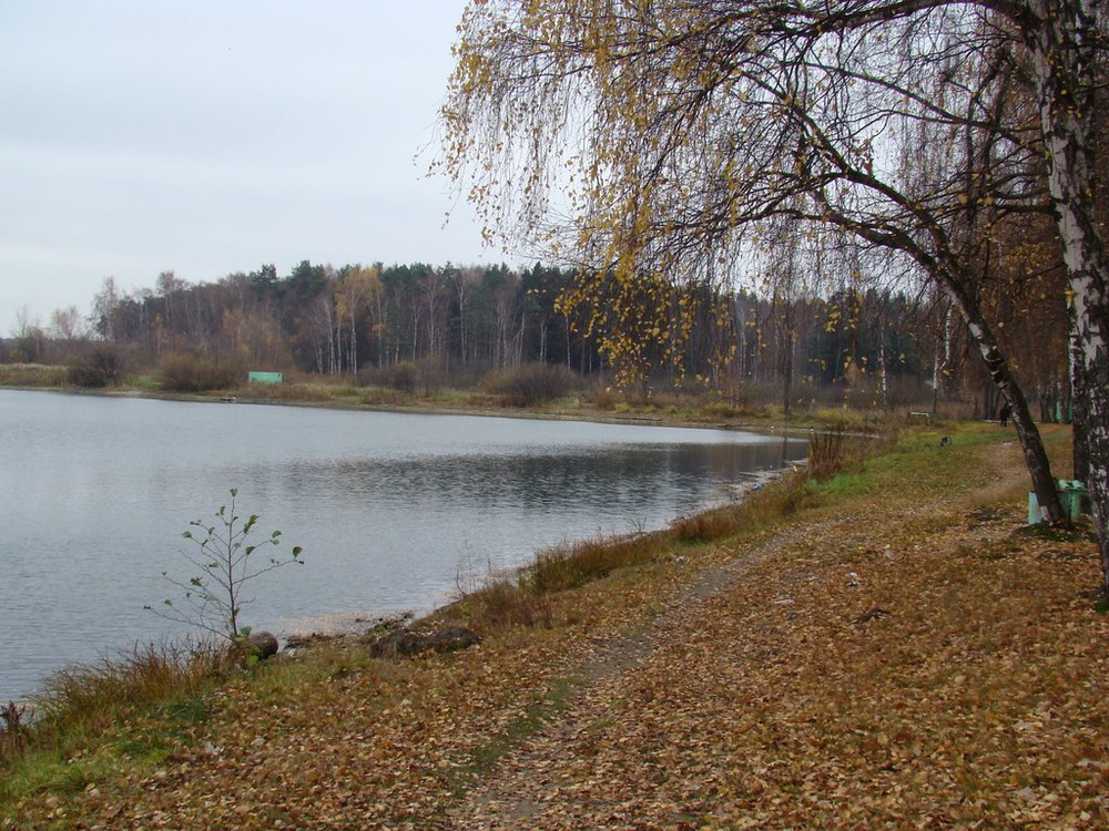 Прозрачность поздней осени...