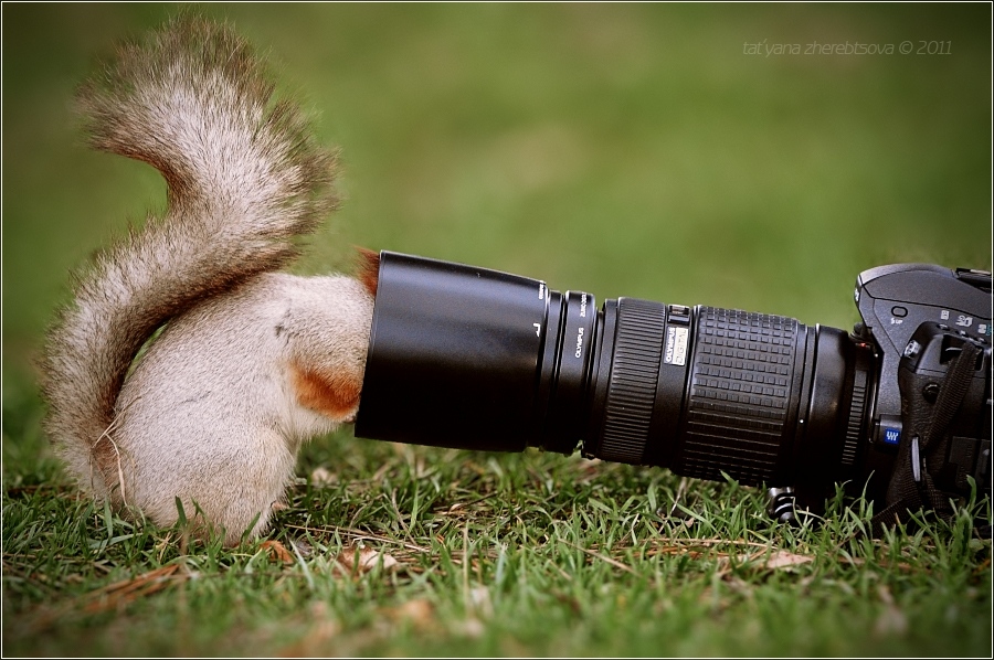 Фотолюбитель