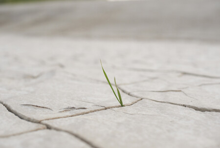 Последний герой