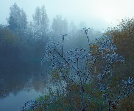 Утренний этюд