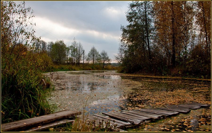 ЗОЛОТАЯ РЕЧКА