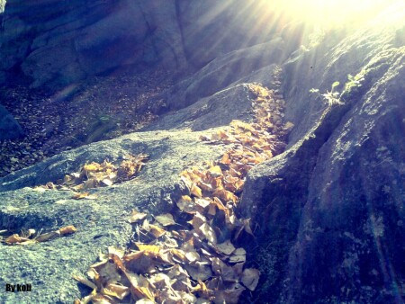 жизненный путь