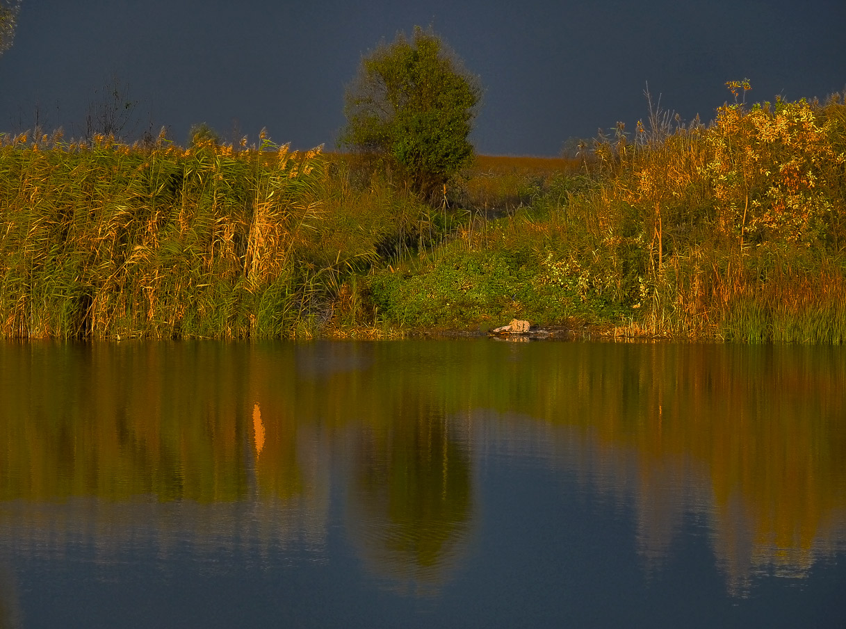 ...ЗОЛОЧЁНЫЕ ЗАКАТОМ...(HDR)