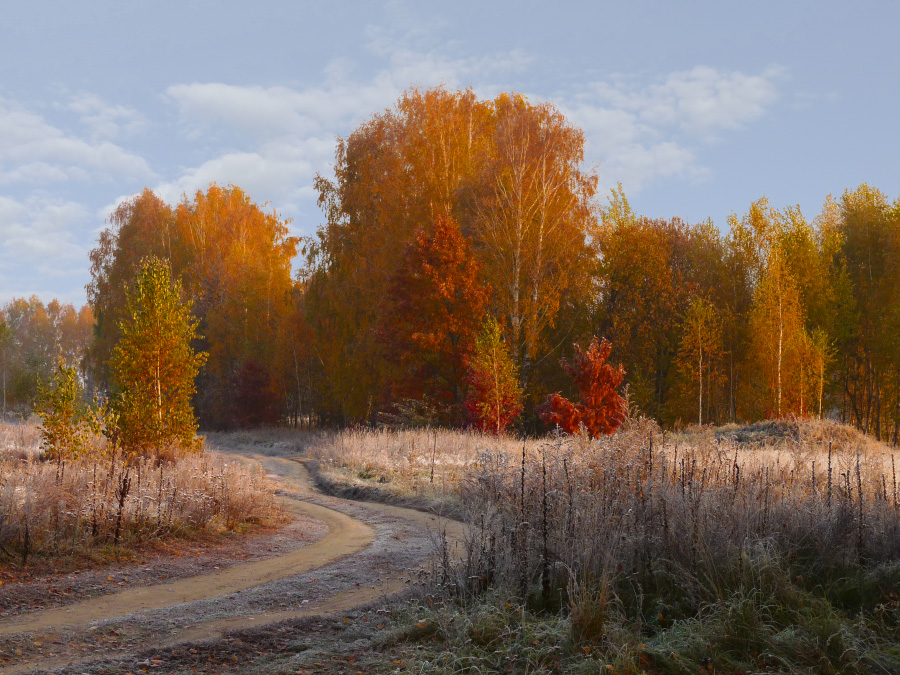 Золотая осень