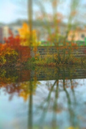 Зеркальный пейзаж