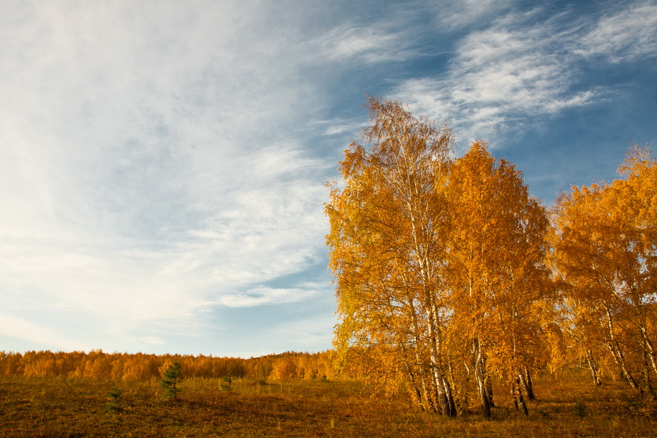 Золотая осень