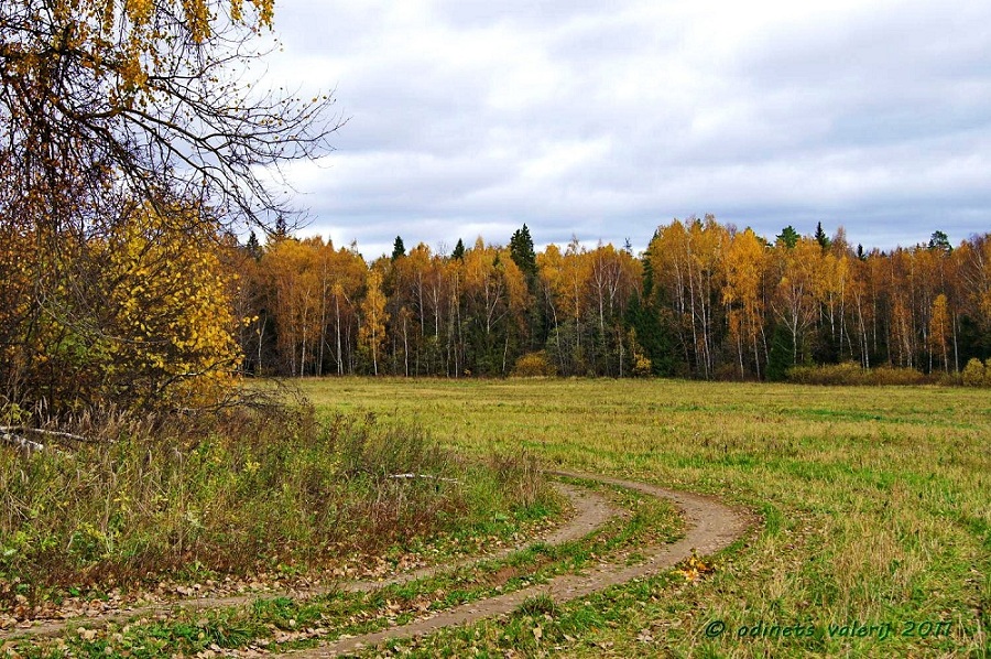 осень