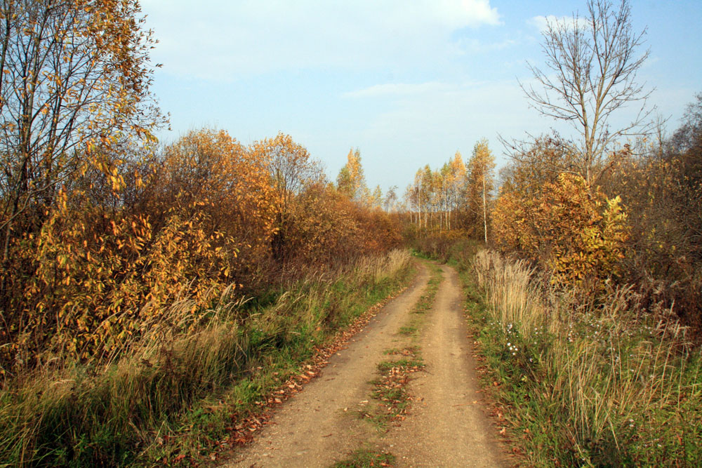 Осенняя дорожка