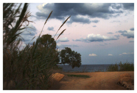 По дороге в Макондо