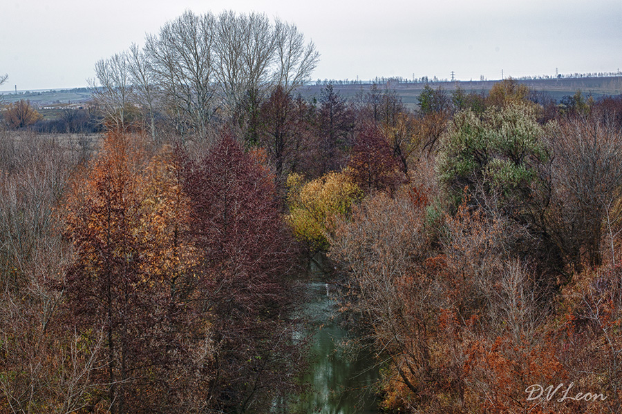 Palette of autumn (Палитра осени)