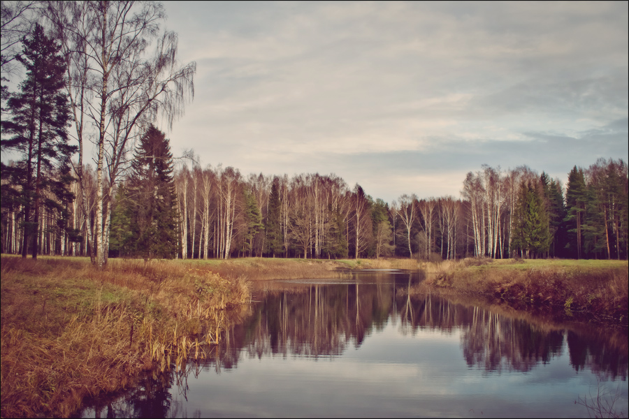 краски поздней осени