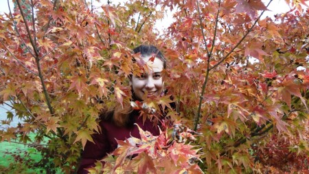 Кленовая девочка.