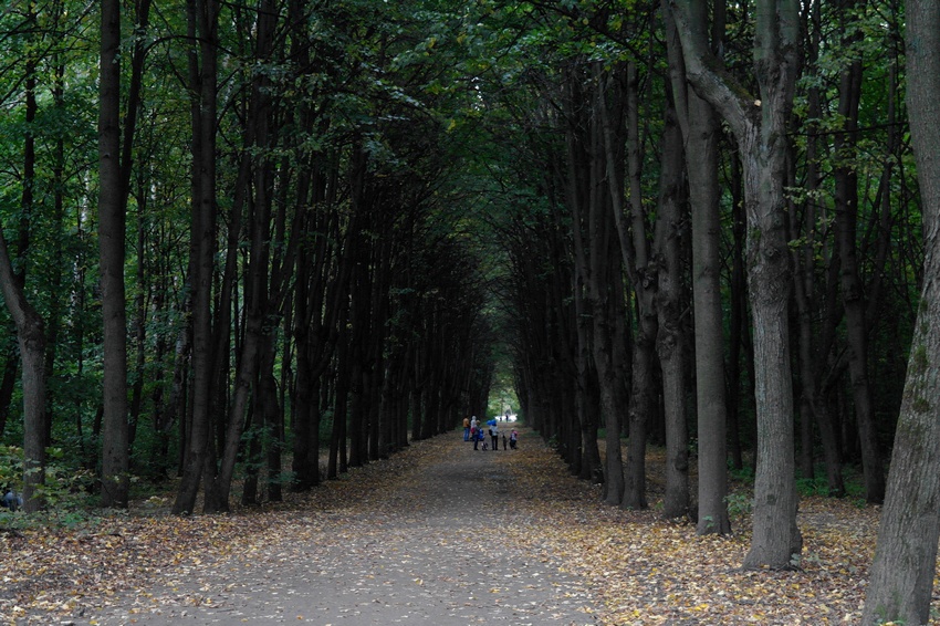 Осень в Кусково