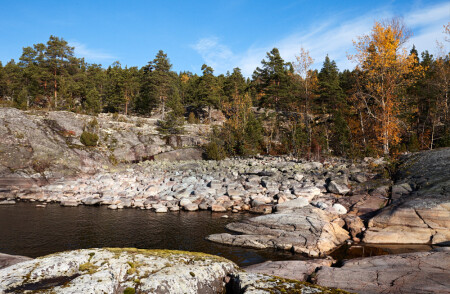 Последние солнечные дни