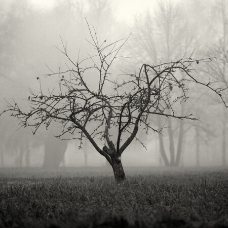 Туманность