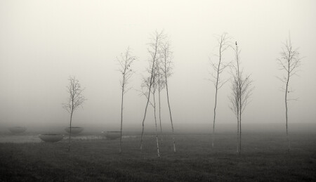 Туманность