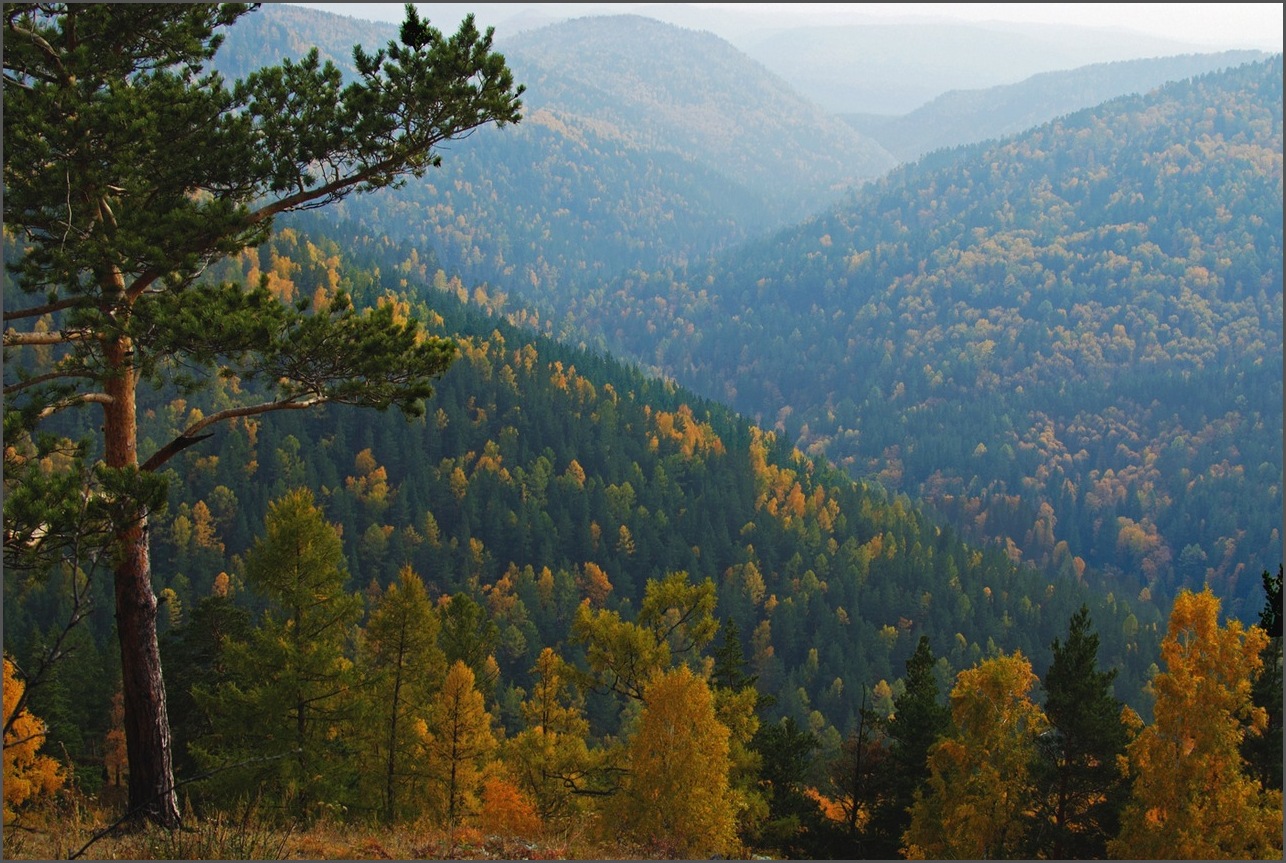 Осень под ногами