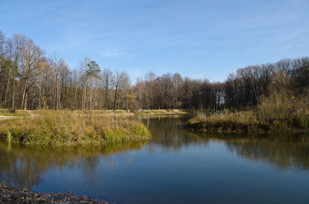&amp;quot;Дикий пруд&amp;quot; в Терлецком парке