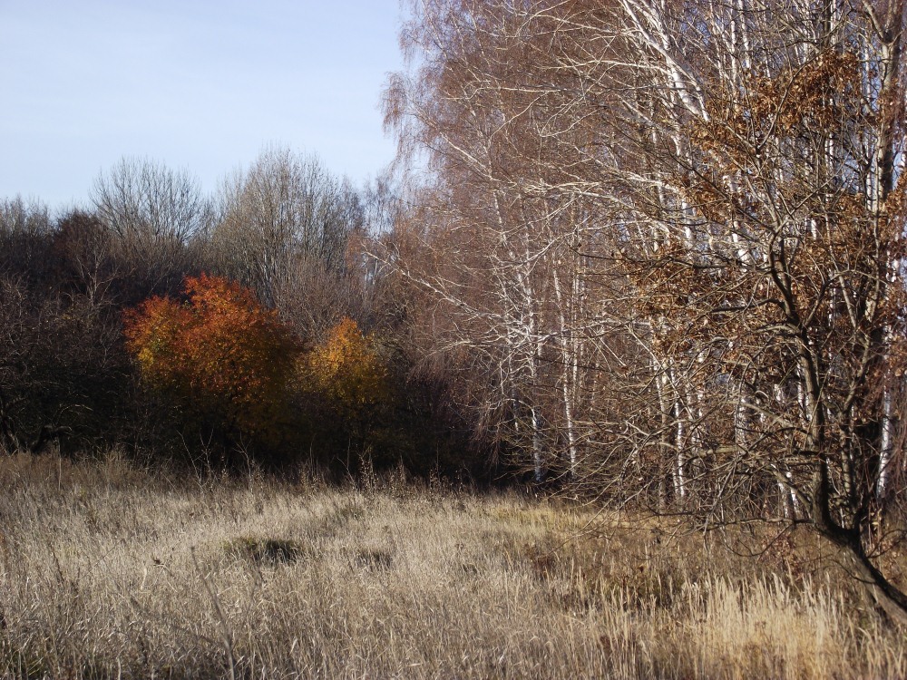 Осень