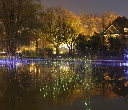 ночной пейзаж