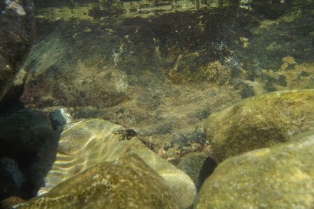 мелководье