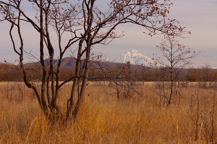 Камчатская Осень